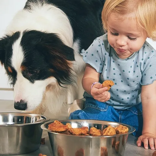 carousel1_growinguptgoether