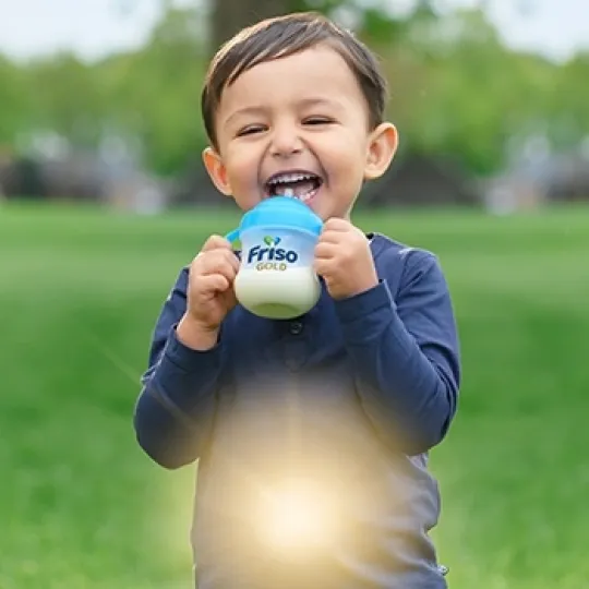 collage12_frisogold_novassignature