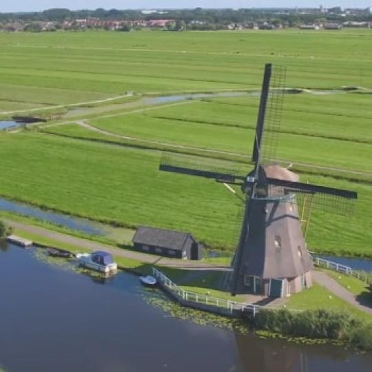 collage3_frisogold_novassignature