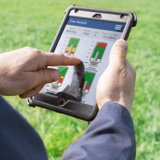 collage6_frisogold_novassignature